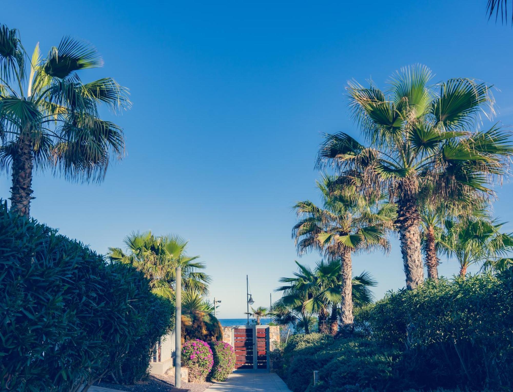 Apartamento Premium Con Jacuzzi Y Vistas Al Mar En Punta Prima, Torrevieja By Rentalole エクステリア 写真